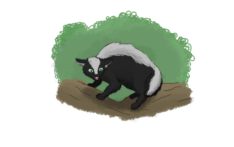 A small black cat with a white stripe down his back, arching his back and hissing